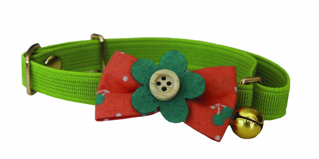 Pawstar collar deals