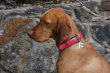 Patent Leather Collar - Lola