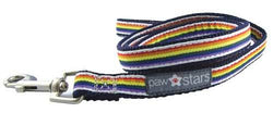 Rainbow ribbon puppy leash