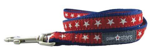 Rocky ribbon puppy leash