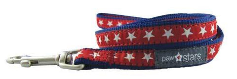 Rocky ribbon puppy leash