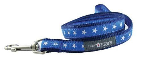 Rocky II ribbon puppy leash