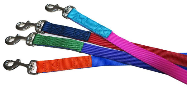 Blue & Orange nylon leash