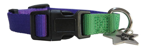 Purple & Green nylon collar