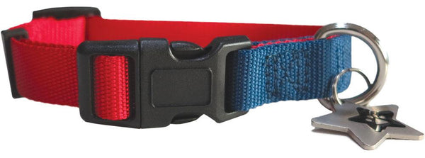 Red & Blue nylon collar