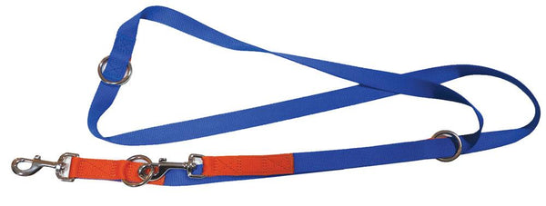 Red & Blue nylon training leash