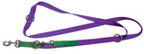 Purple & Green nylon training leash