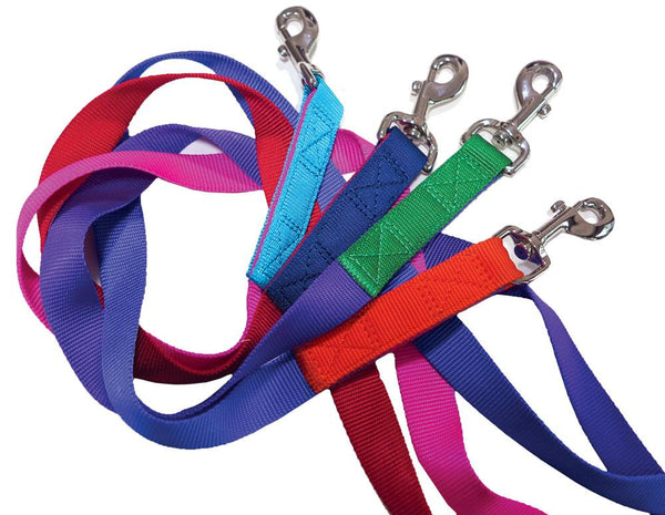 Red & Blue nylon leash