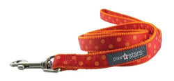 Indie ribbon puppy leash