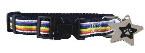 Rainbow ribbon puppy collar